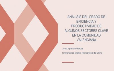 ANÁLISIS DEL GRADO DE EFICIENCIA Y PRODUCTIVIDAD DE ALGUNOS SECTORES CLAVE EN LA COMUNIDAD VALENCIANA