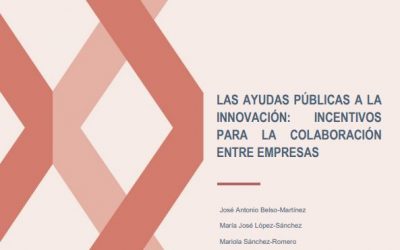 (Español) LAS AYUDAS PÚBLICAS A LA INNOVACIÓN: INCENTIVOS PARA LA COLABORACIÓN ENTRE EMPRESAS